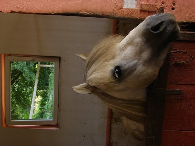 Hubertus 2010